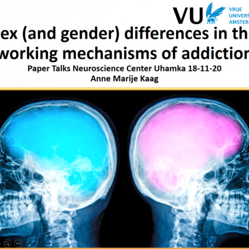 Sex (and gender) differences in the working mechanisms of addiction